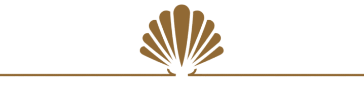 Schelp_Goud_kop Schelp_Goud_kop